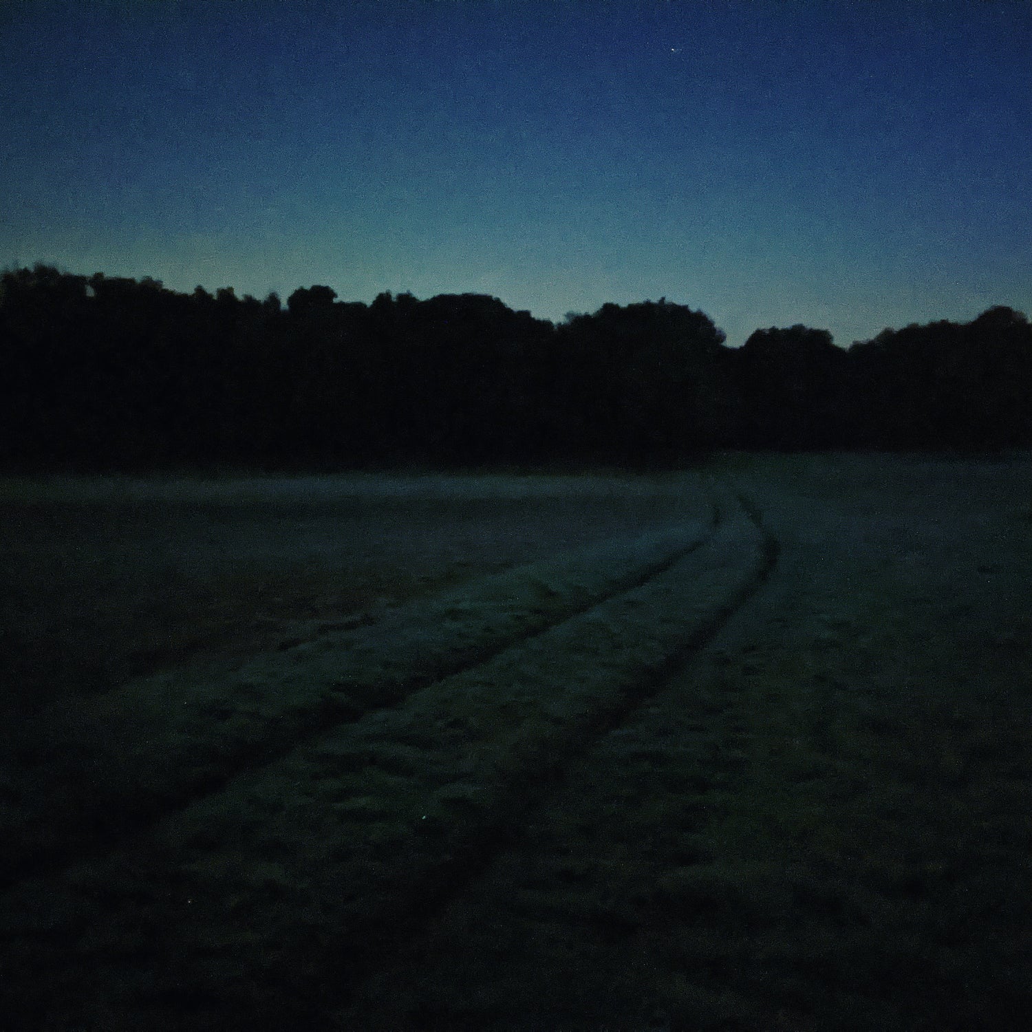 Pirsch bei Nacht: Wo stand das Wildschwein nochmal?
