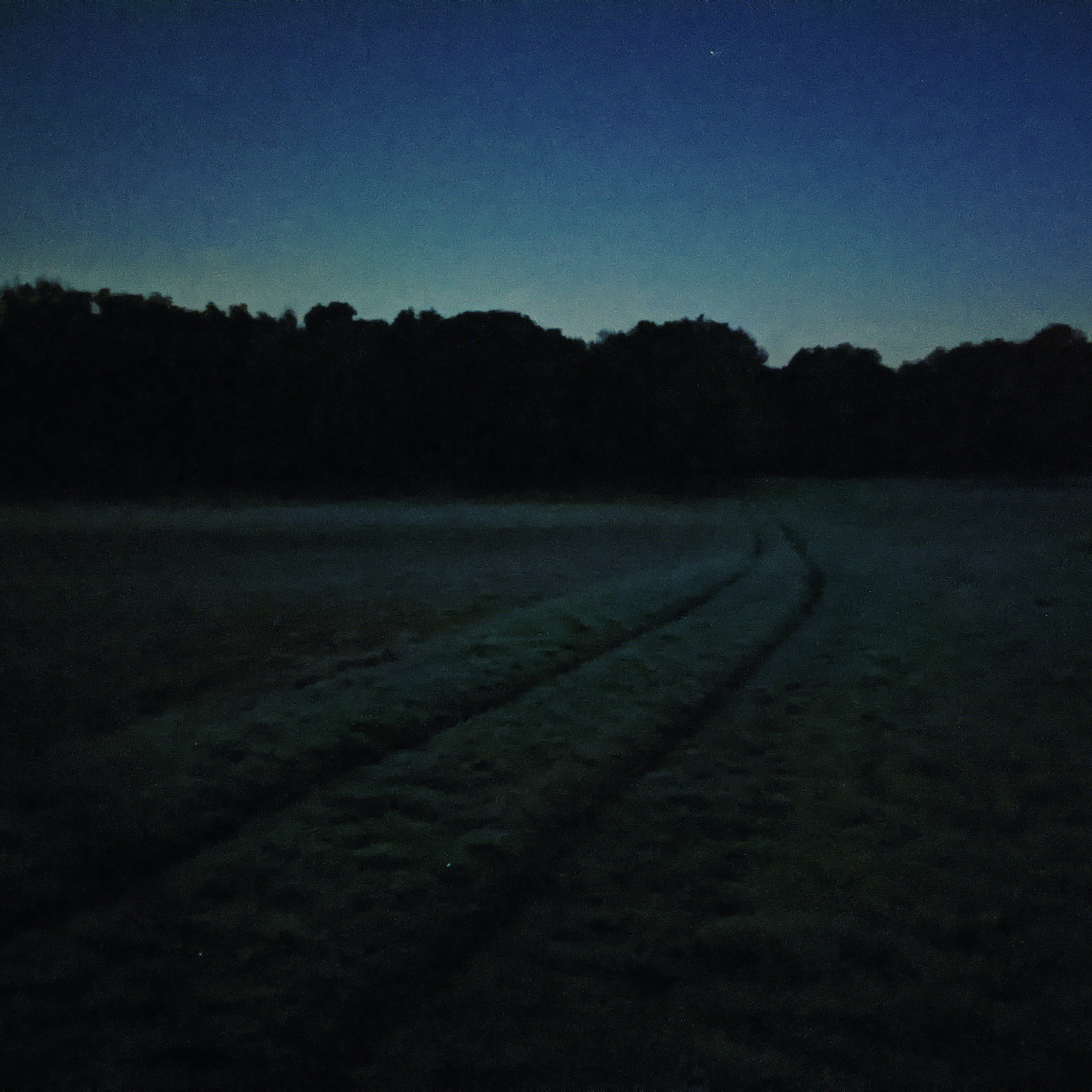 Pirsch bei Nacht: Wo stand das Wildschwein nochmal?