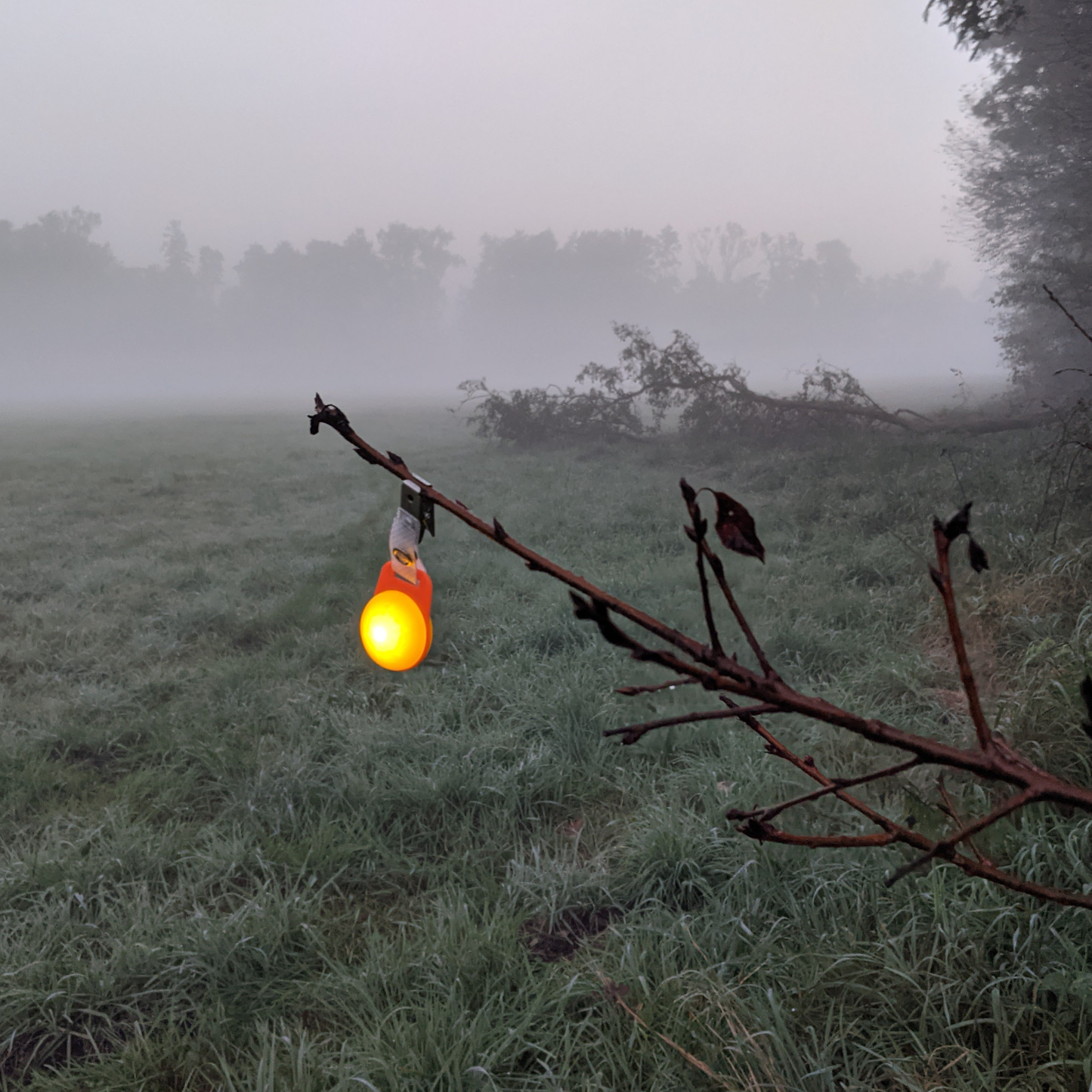 LED Blinklichter zur Markierung des Anschusses, von Prischzeichen, der Beute, der Schussposition bei der Jagd und auf Nachsuche bei Dunkelheit. Mit Universal-Clip zur Befestigung. Wasserfest und mit Wechselbatterie.